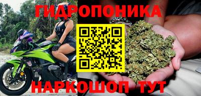 крисы Брянск
