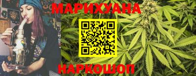 крисы Брянск