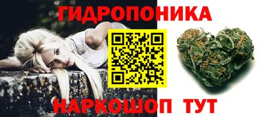 крисы Брянск