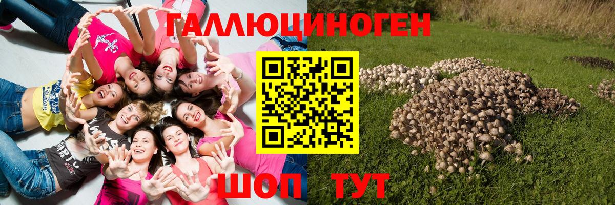 Алушта  как найти наркотики  Вход с VPN  Галлюциногенные грибы ЛСД  Псилоцибиновые грибы мицелий 